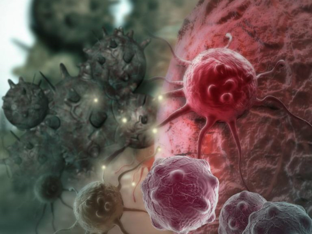 CT Hội Ung thư VN: 2 nguyên tắc phòng ngừa bệnh ung thư