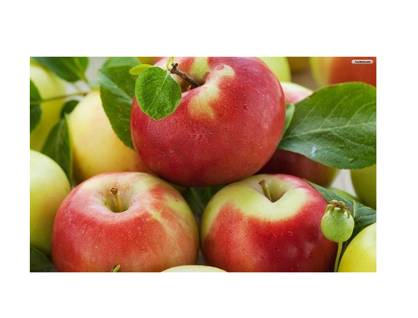 Chất xơ hòa tan có trong táo và nhiều loại trái cây khác đã được chứng minh là có khả năng là làm giảm nồng độ LDL - cholesterol